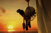 Bioshock 2 saldr� al mismo tiempo en todas las plataformas