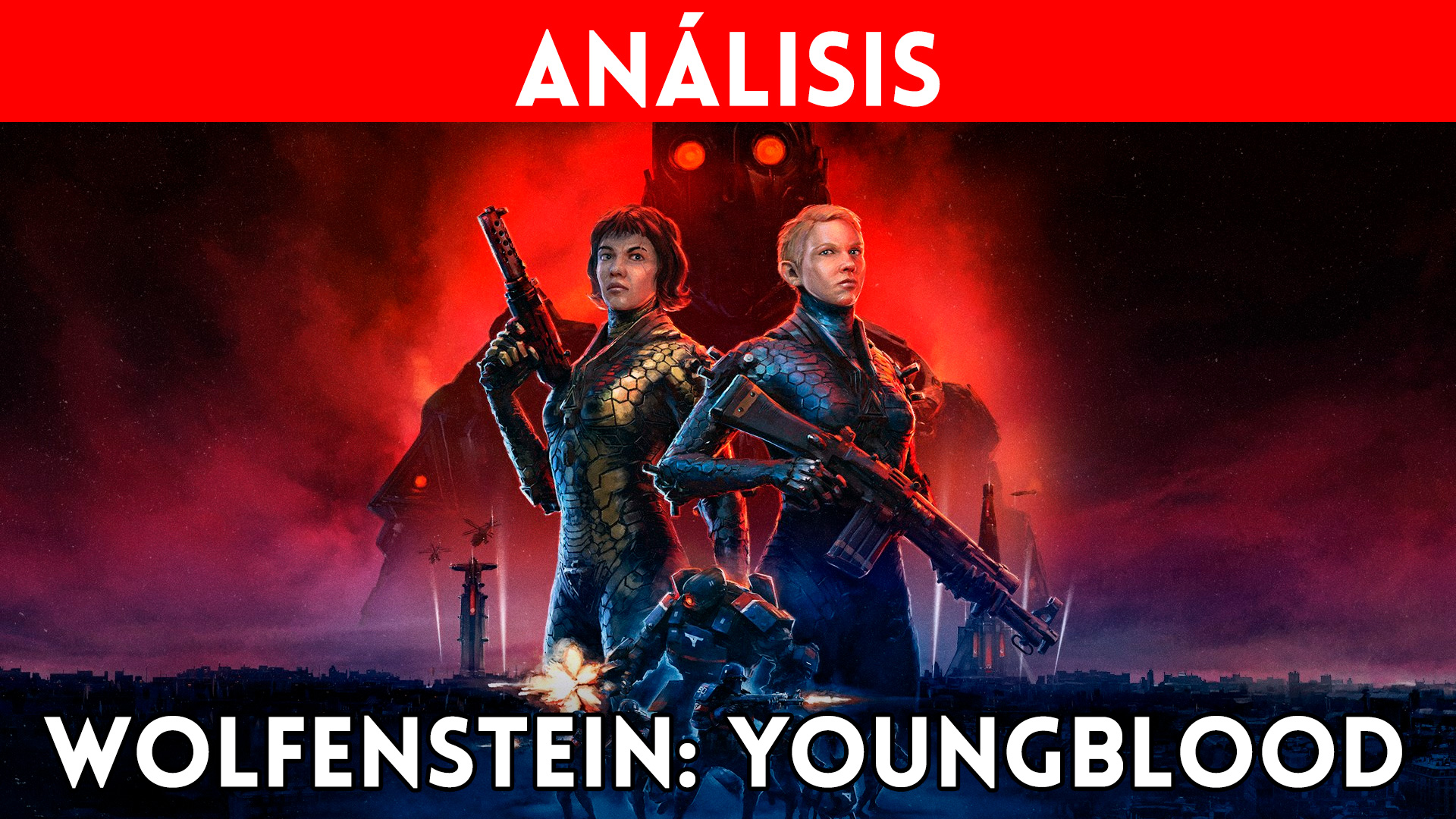 Сколько весит wolfenstein youngblood на nintendo switch